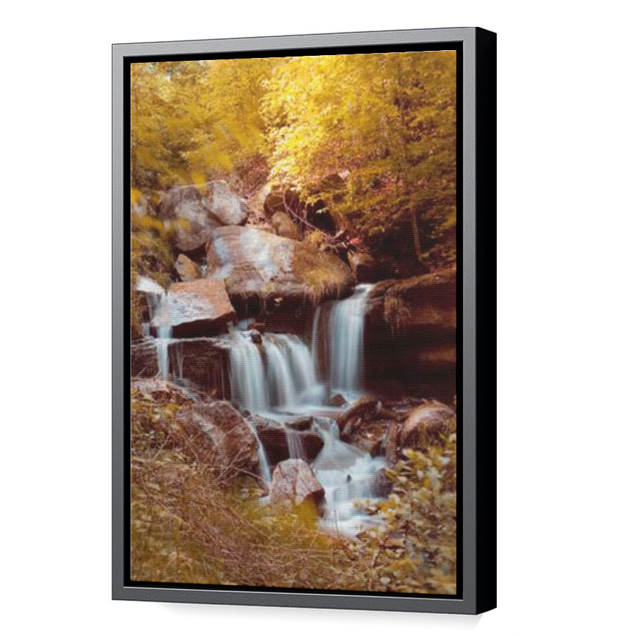 Thumbnail for Canvas - Black Floating Frame