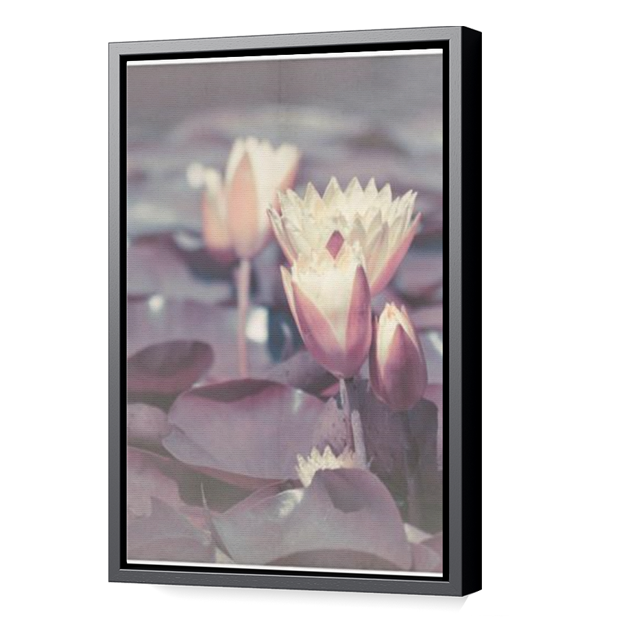 Thumbnail for Canvas - Black Floating Frame