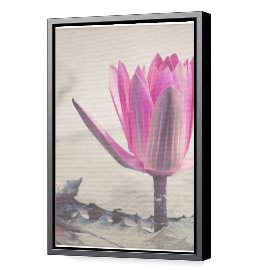 Thumbnail for Canvas - Black Floating Frame
