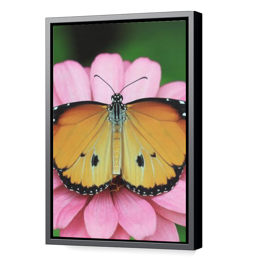 Thumbnail for Canvas - Black Floating Frame