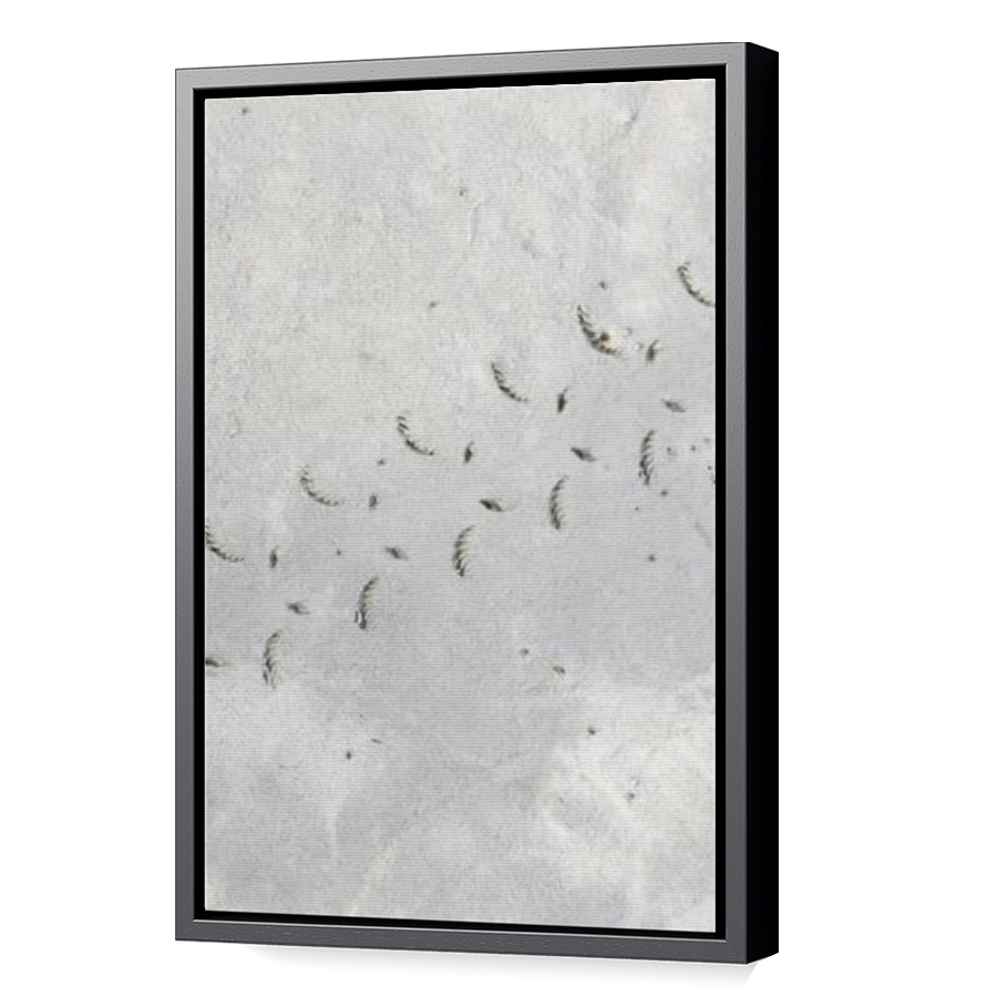 Thumbnail for Canvas - Black Floating Frame