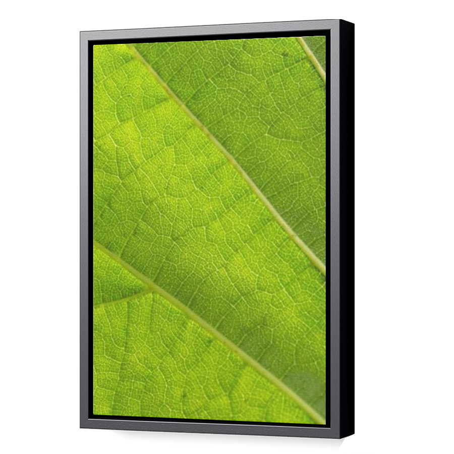 Thumbnail for Canvas - Black Floating Frame