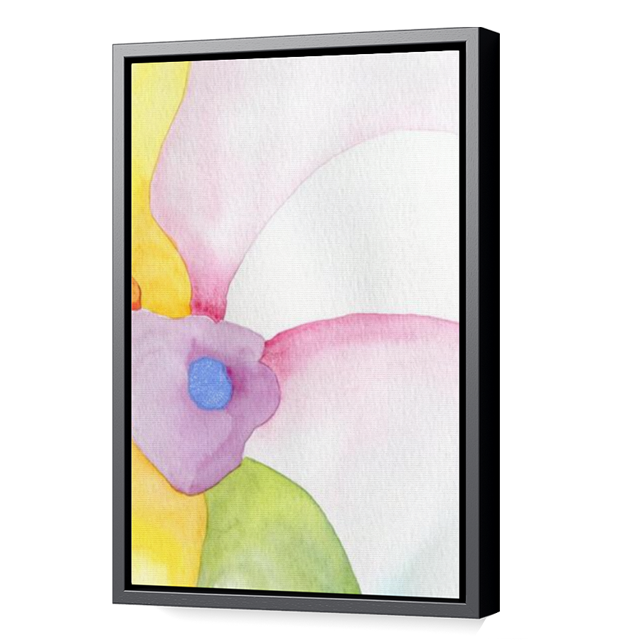 Thumbnail for Canvas - Black Floating Frame