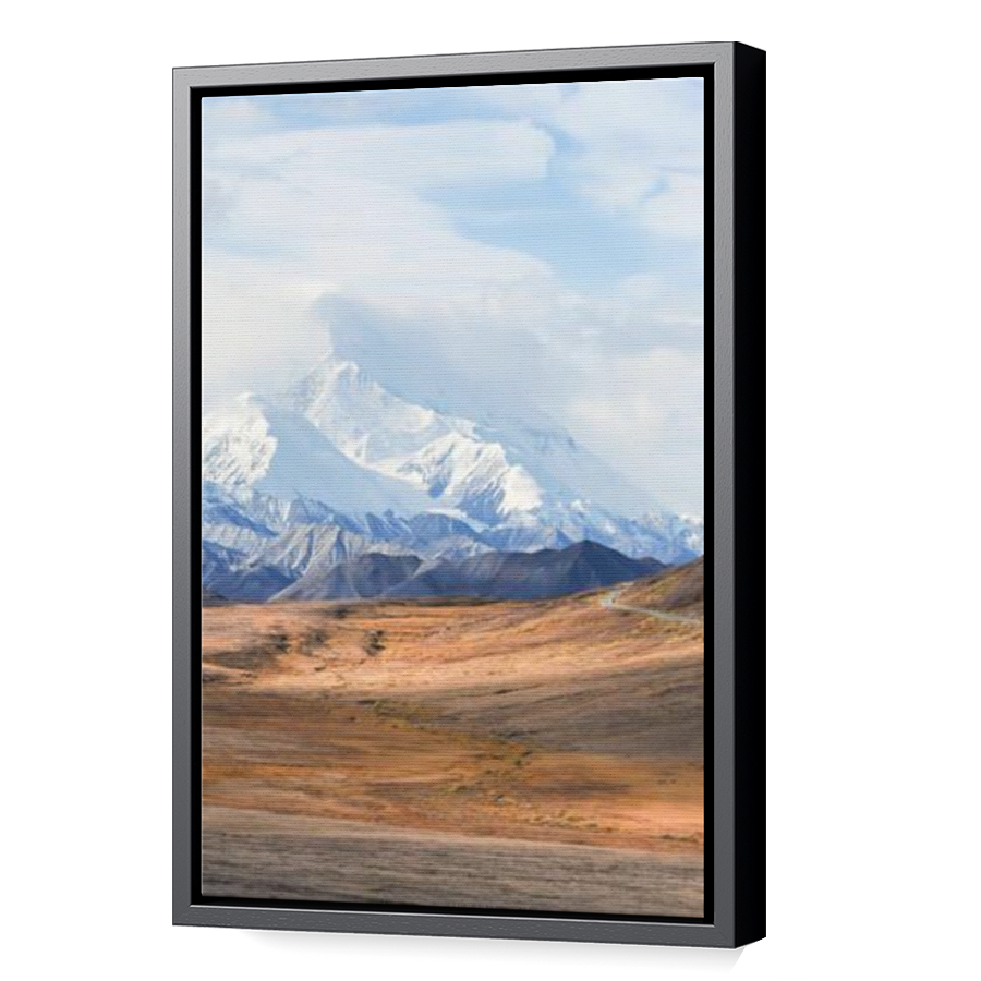 Thumbnail for Canvas - Black Floating Frame