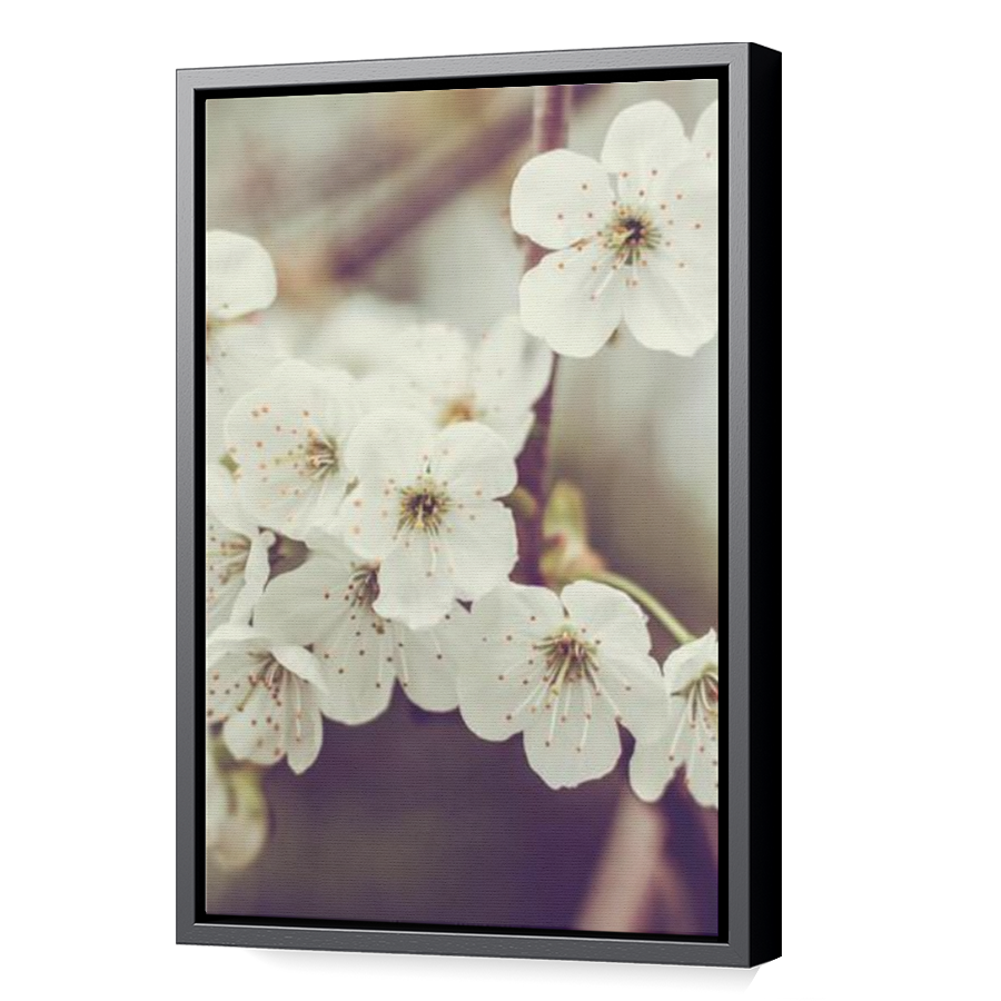 Thumbnail for Canvas - Black Floating Frame