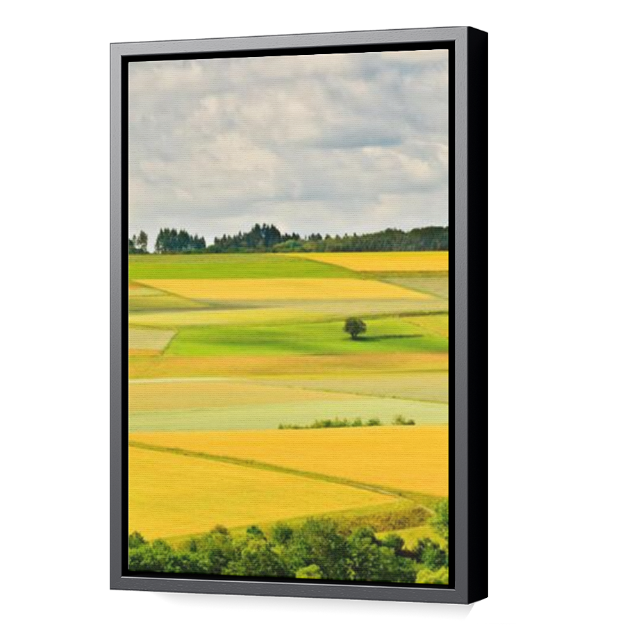 Thumbnail for Canvas - Black Floating Frame
