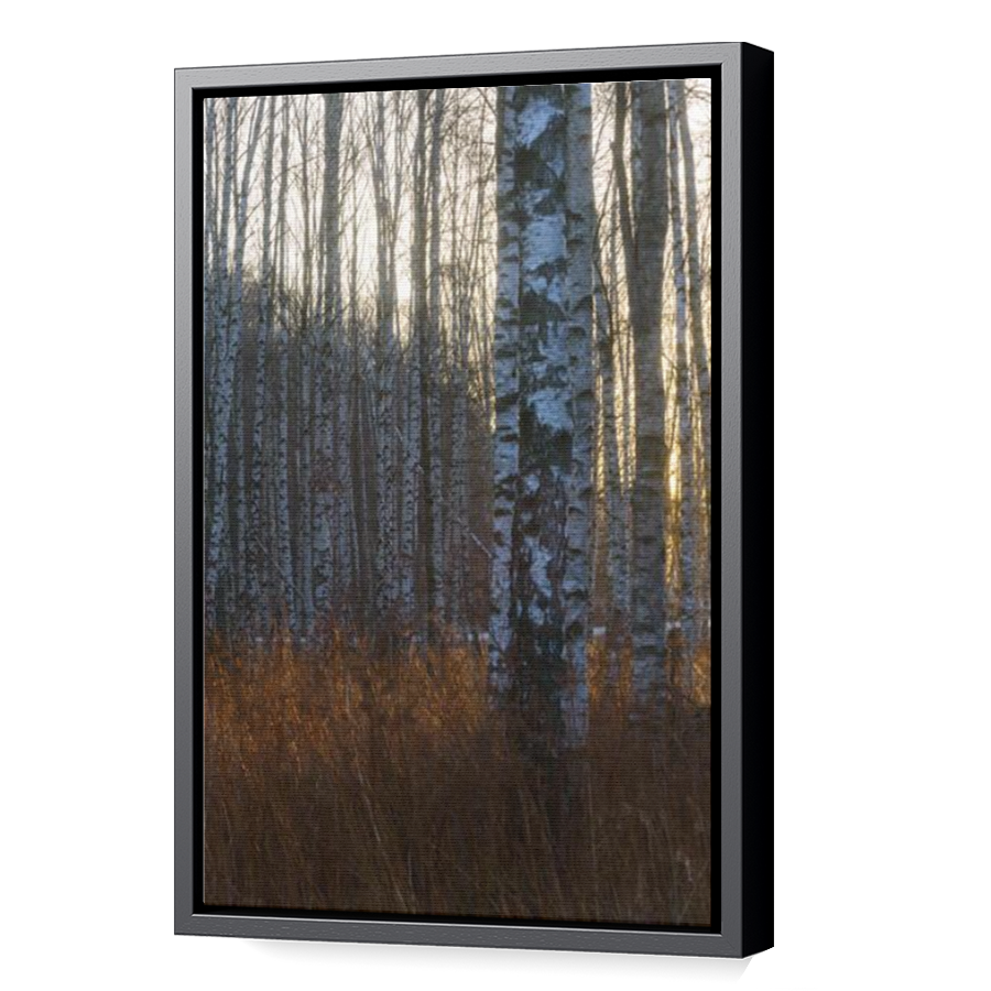 Thumbnail for Canvas - Black Floating Frame