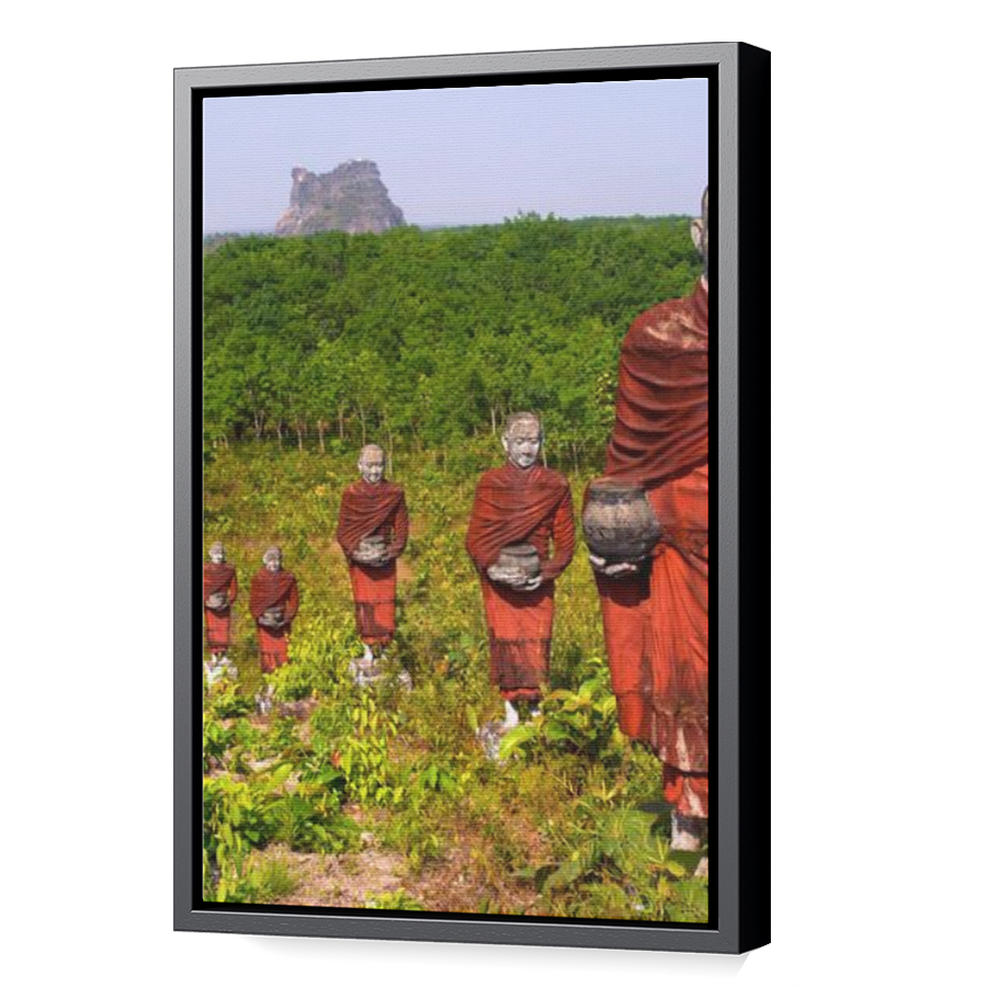 Thumbnail for Canvas - Black Floating Frame