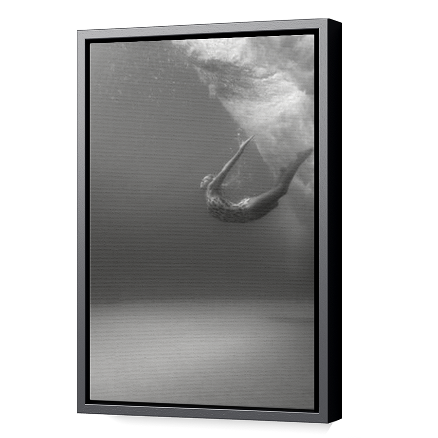 Thumbnail for Canvas - Black Floating Frame