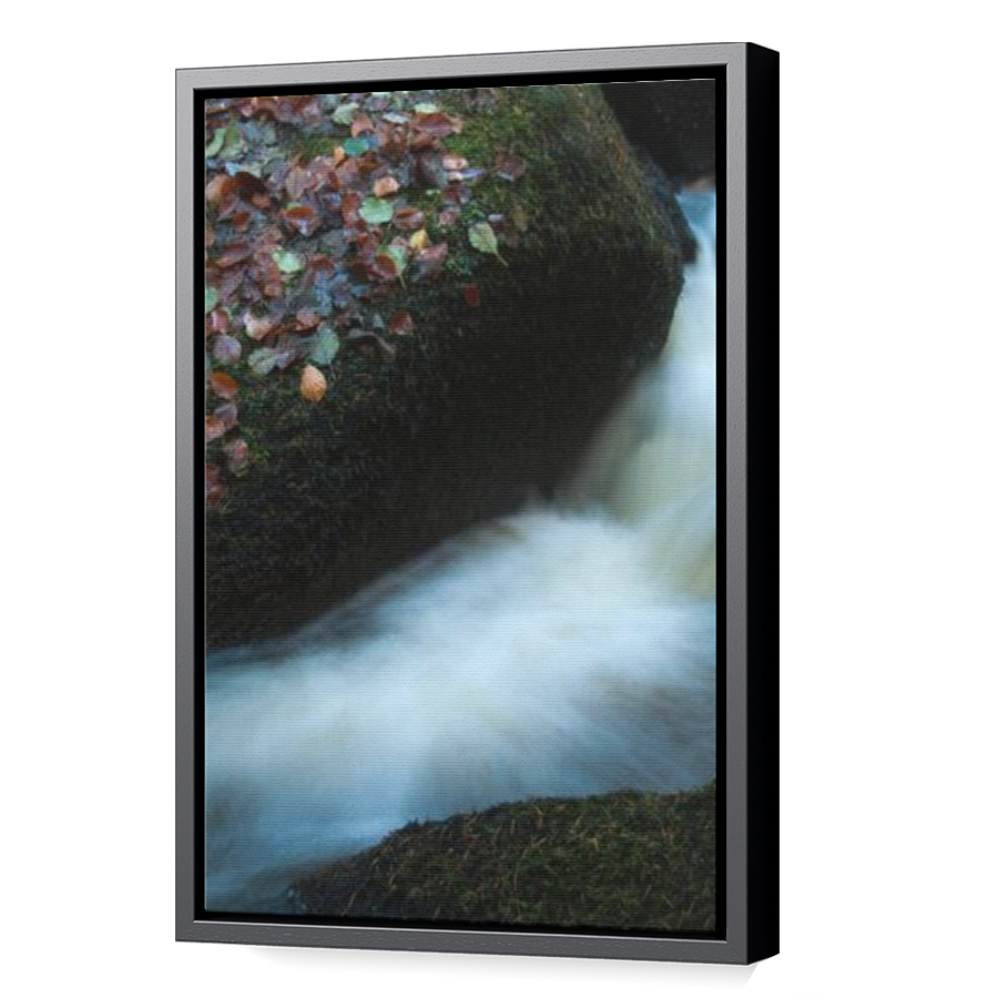 Thumbnail for Canvas - Black Floating Frame