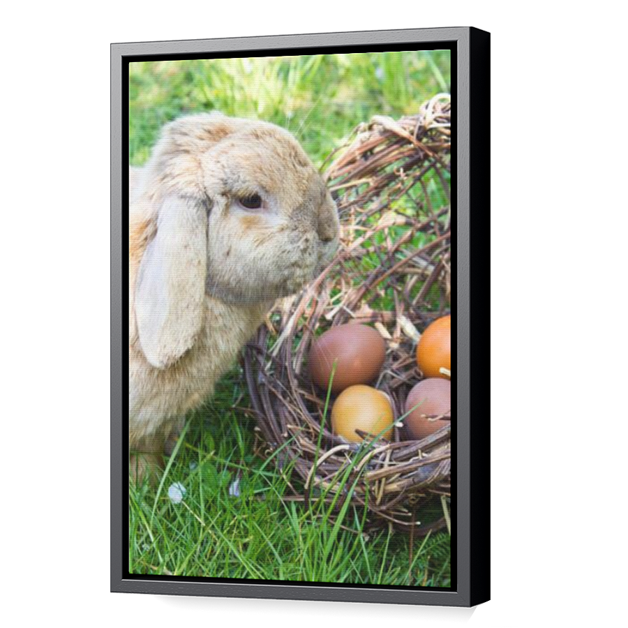 Thumbnail for Canvas - Black Floating Frame