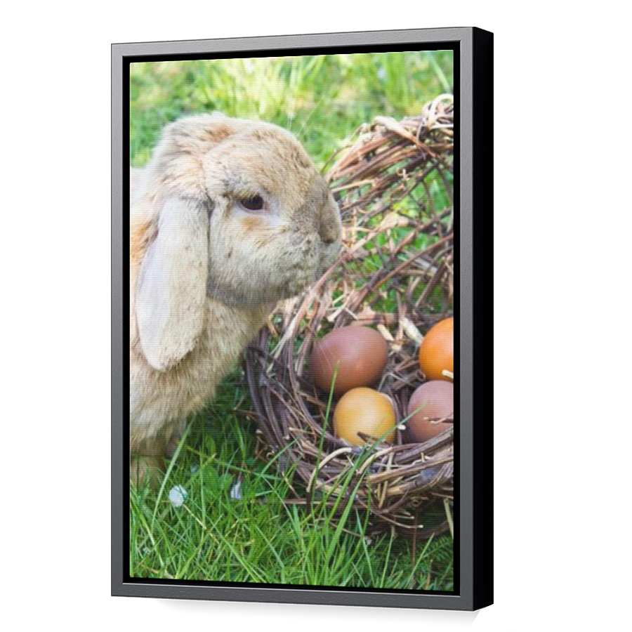 Thumbnail for Canvas - Black Floating Frame