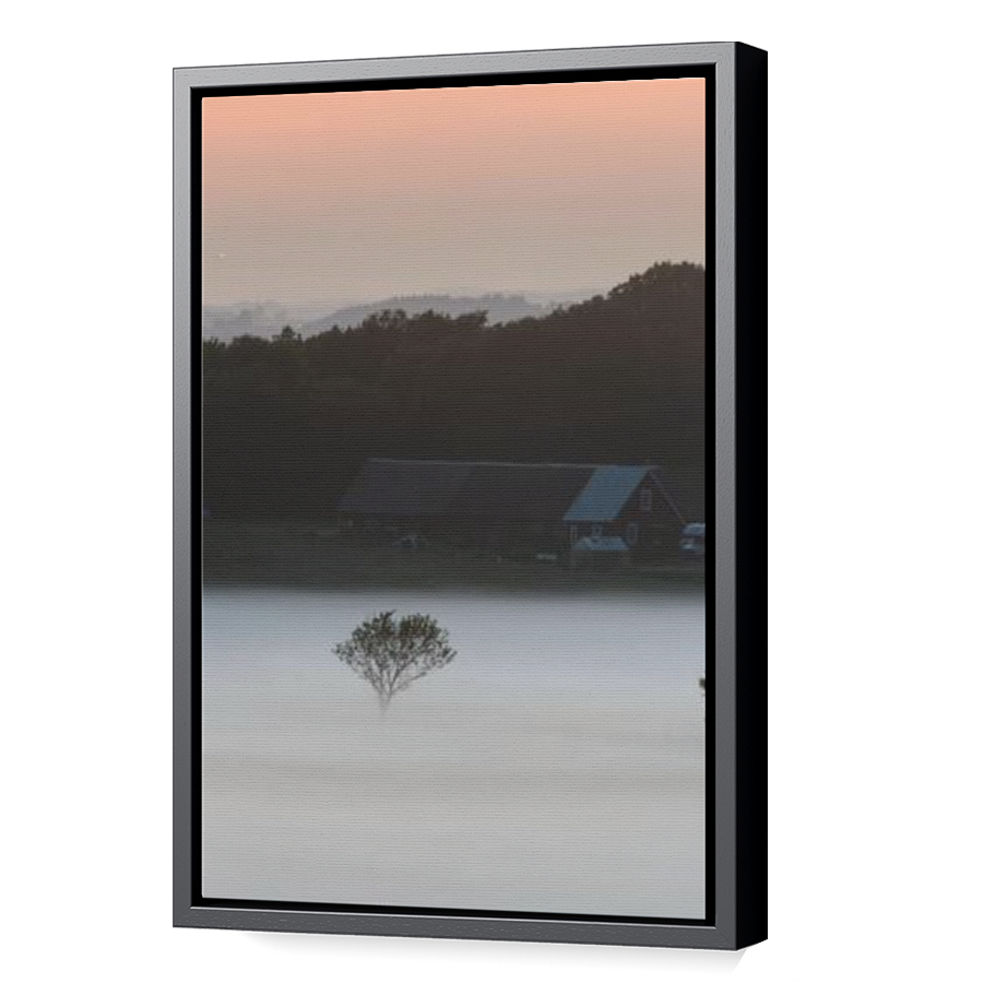 Thumbnail for Canvas - Black Floating Frame