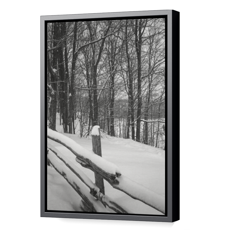 Thumbnail for Canvas - Black Floating Frame