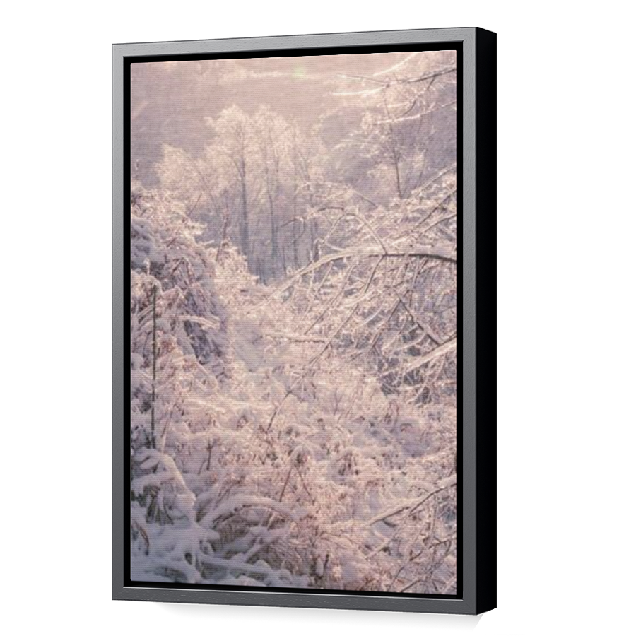 Thumbnail for Canvas - Black Floating Frame