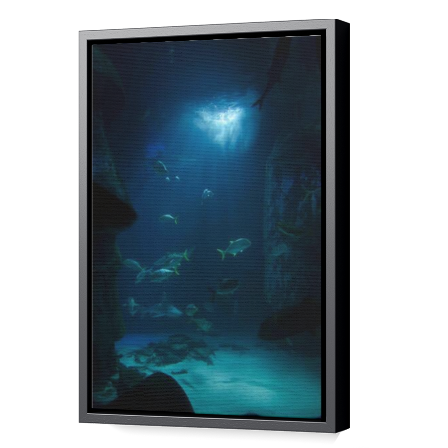 Thumbnail for Canvas - Black Floating Frame