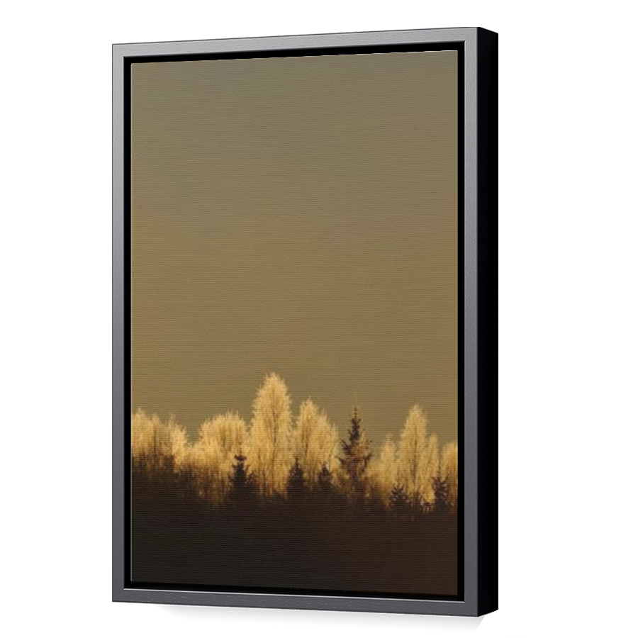 Thumbnail for Canvas - Black Floating Frame