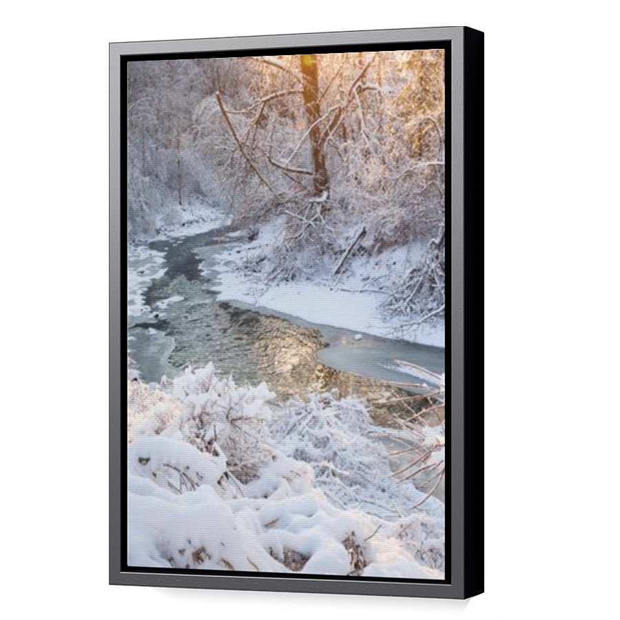 Thumbnail for Canvas - Black Floating Frame