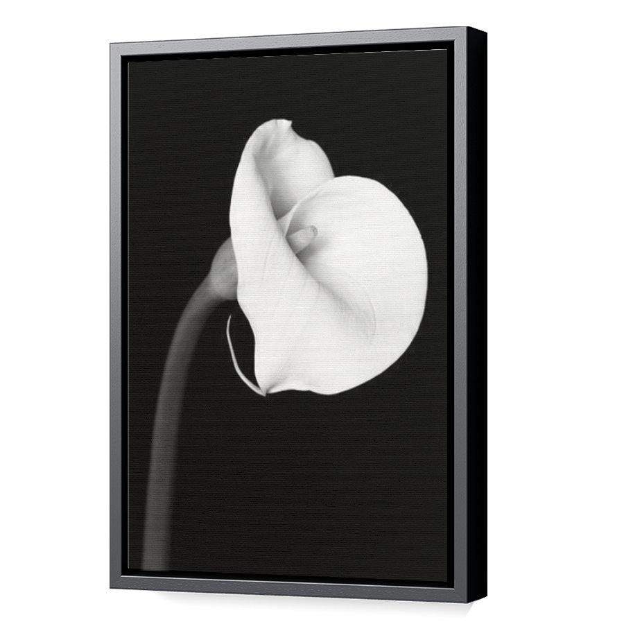 Thumbnail for Canvas - Black Floating Frame