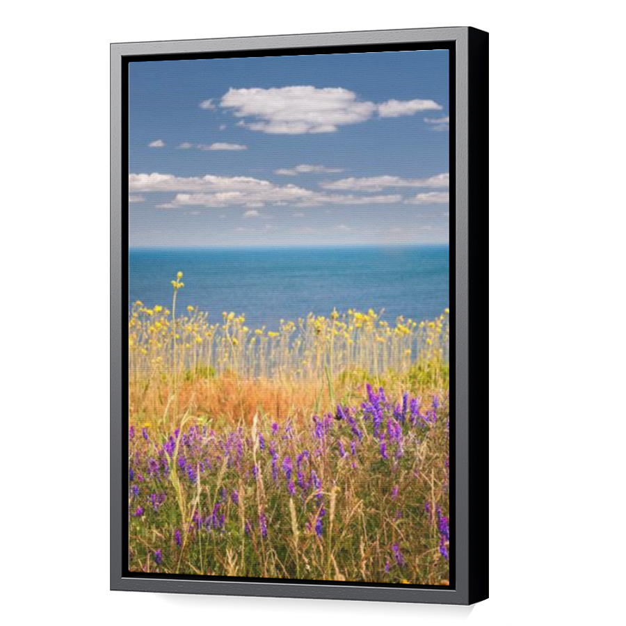 Thumbnail for Canvas - Black Floating Frame
