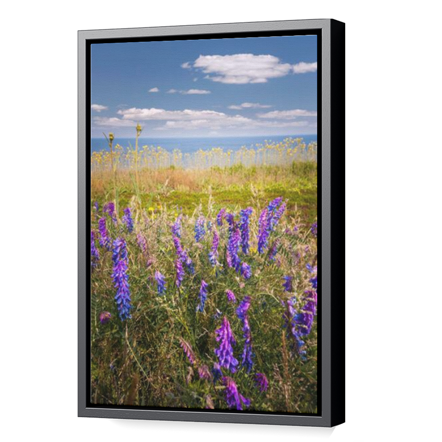 Thumbnail for Canvas - Black Floating Frame