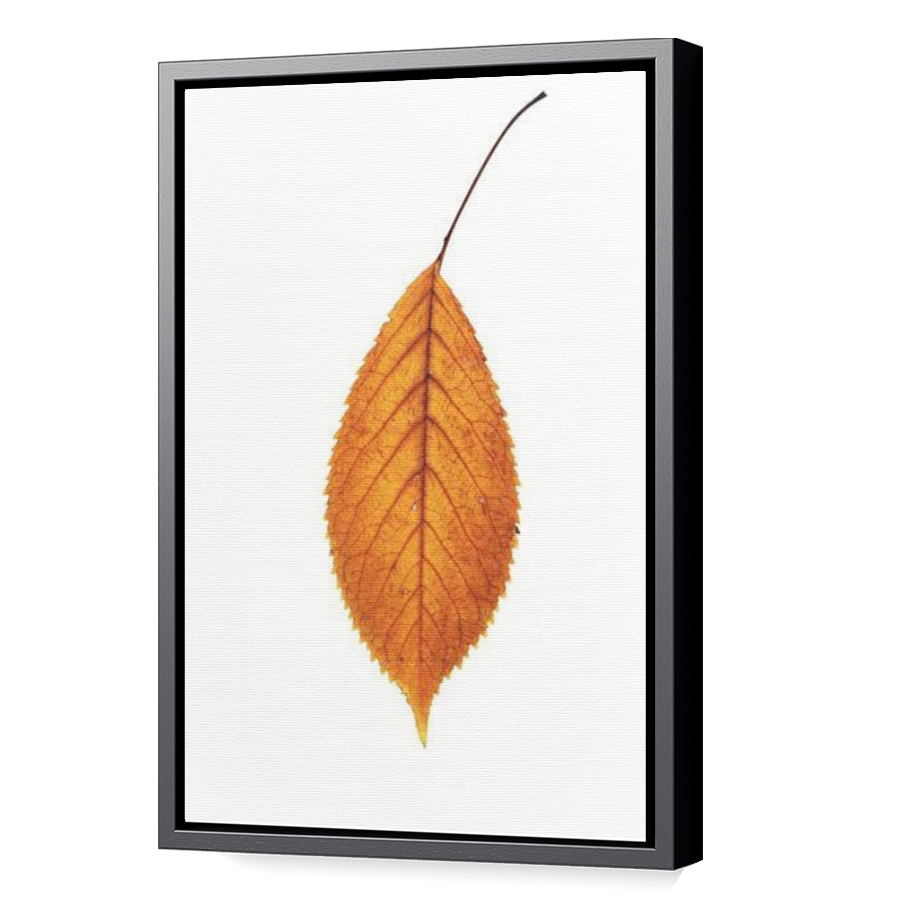 Thumbnail for Canvas - Black Floating Frame
