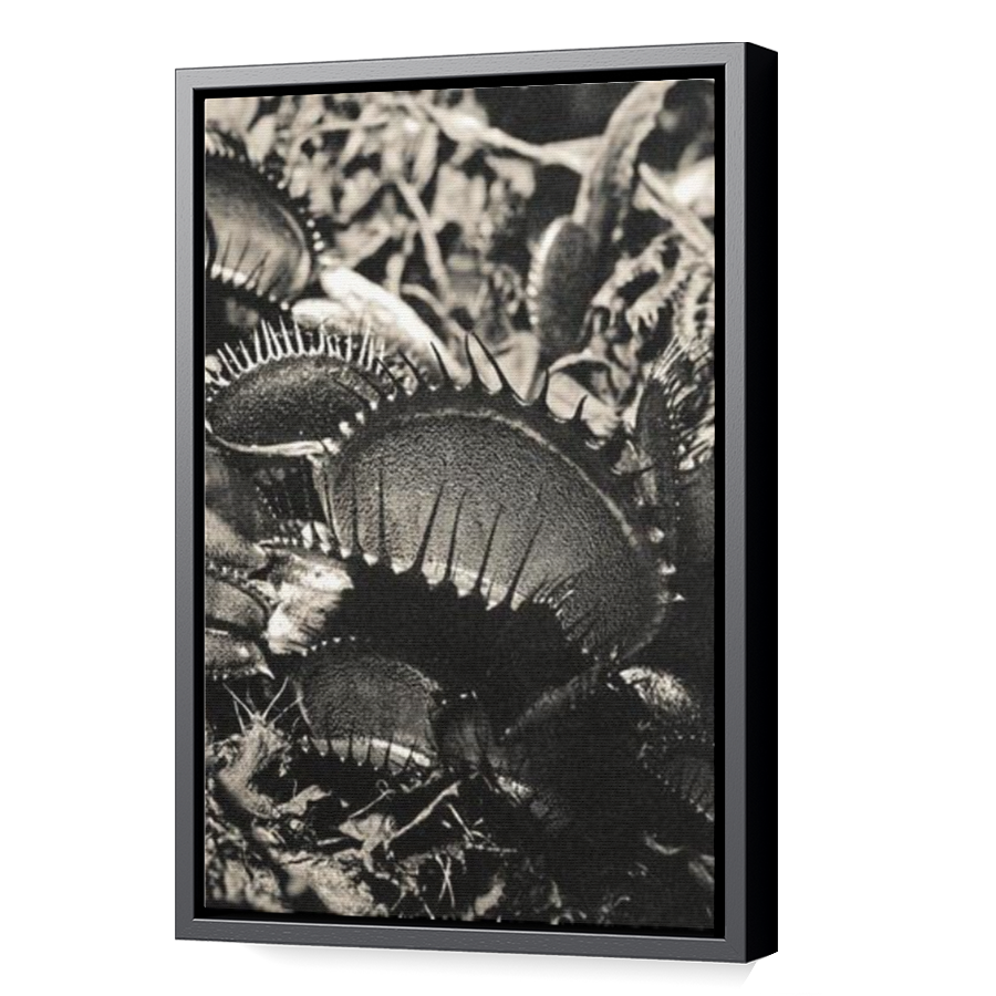 Thumbnail for Canvas - Black Floating Frame