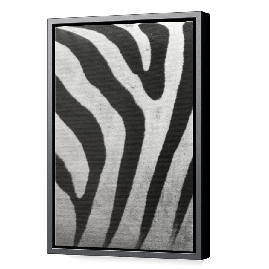 Thumbnail for Canvas - Black Floating Frame