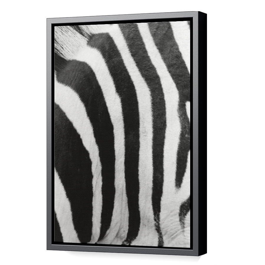 Thumbnail for Canvas - Black Floating Frame