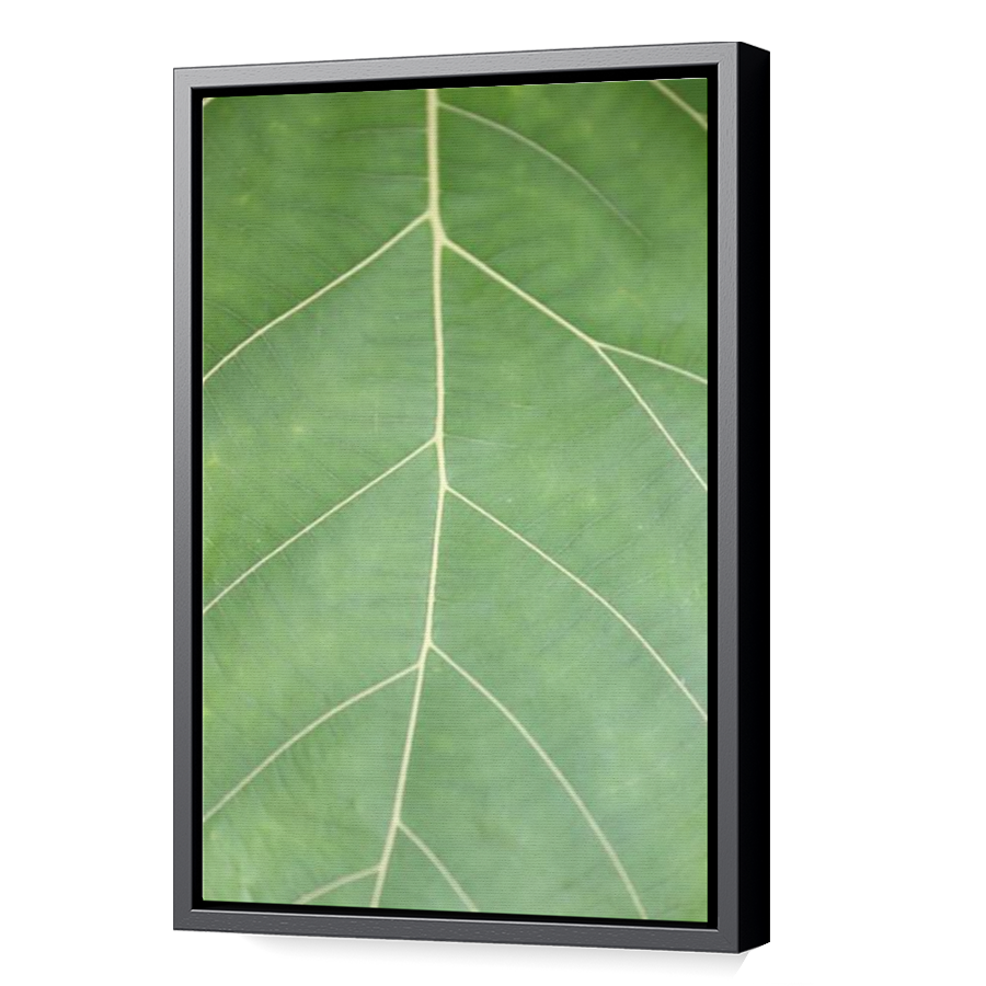 Thumbnail for Canvas - Black Floating Frame