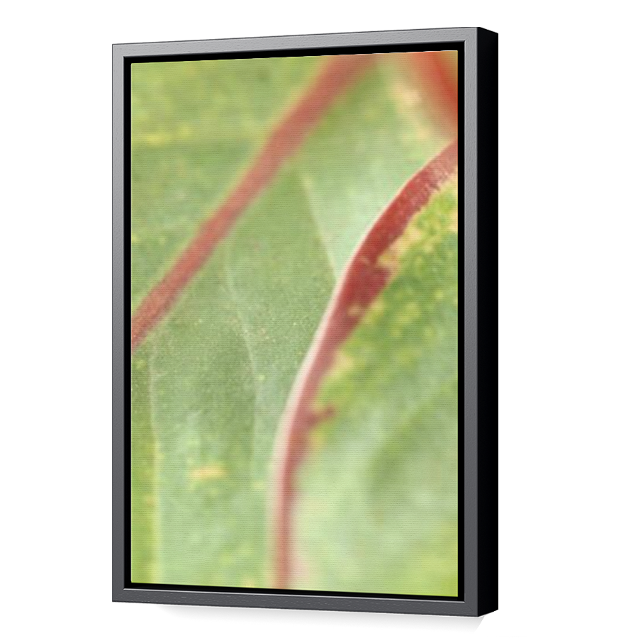 Thumbnail for Canvas - Black Floating Frame
