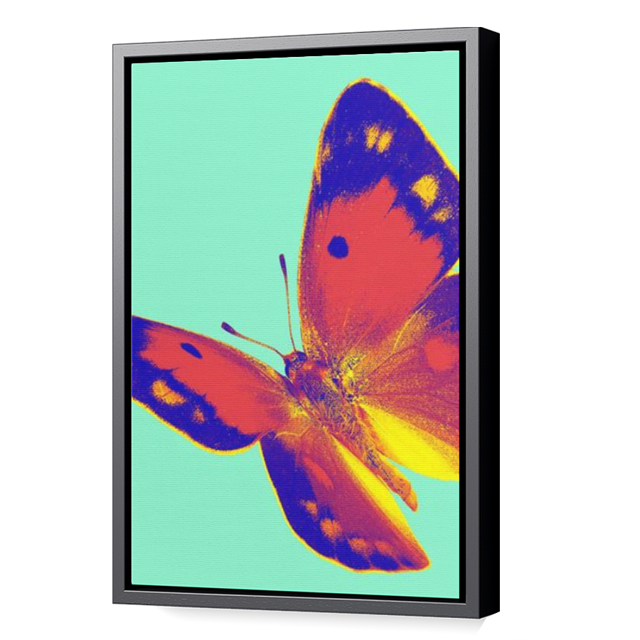 Thumbnail for Canvas - Black Floating Frame
