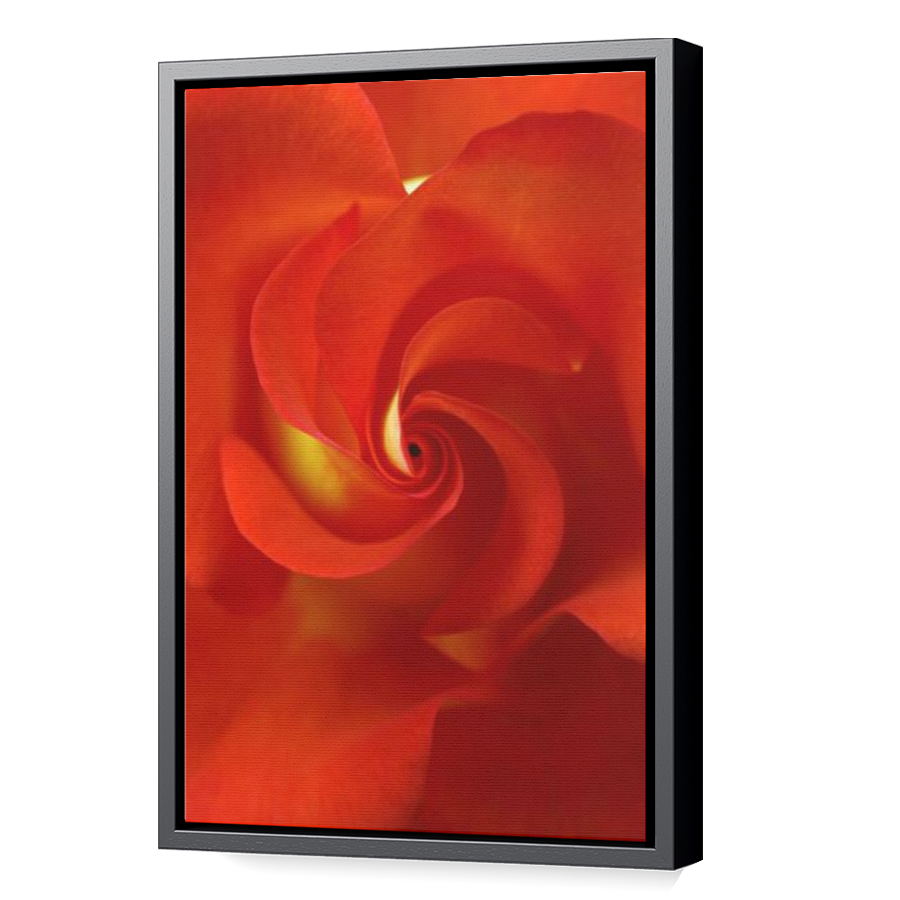 Thumbnail for Canvas - Black Floating Frame