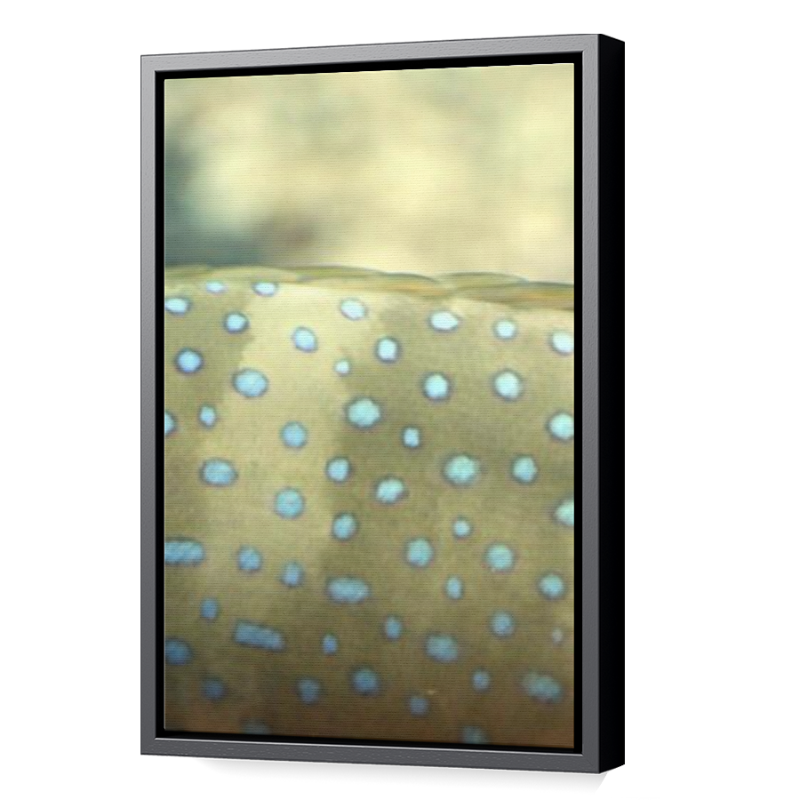 Thumbnail for Canvas - Black Floating Frame