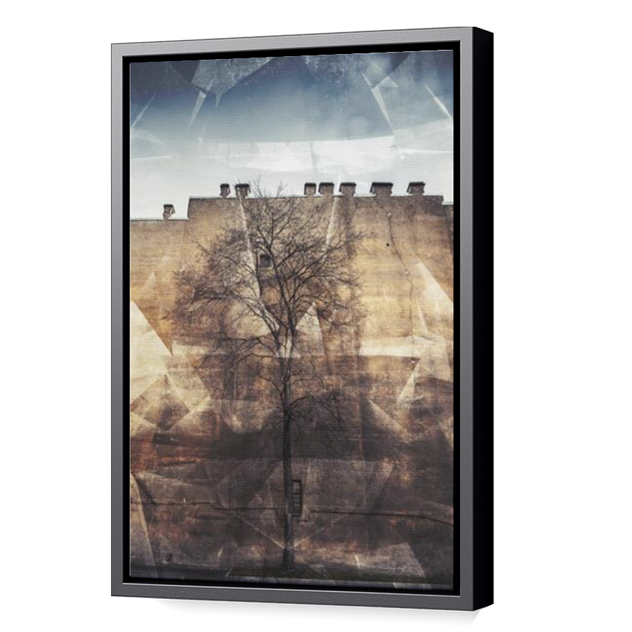 Thumbnail for Canvas - Black Floating Frame