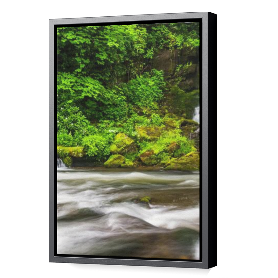 Thumbnail for Canvas - Black Floating Frame