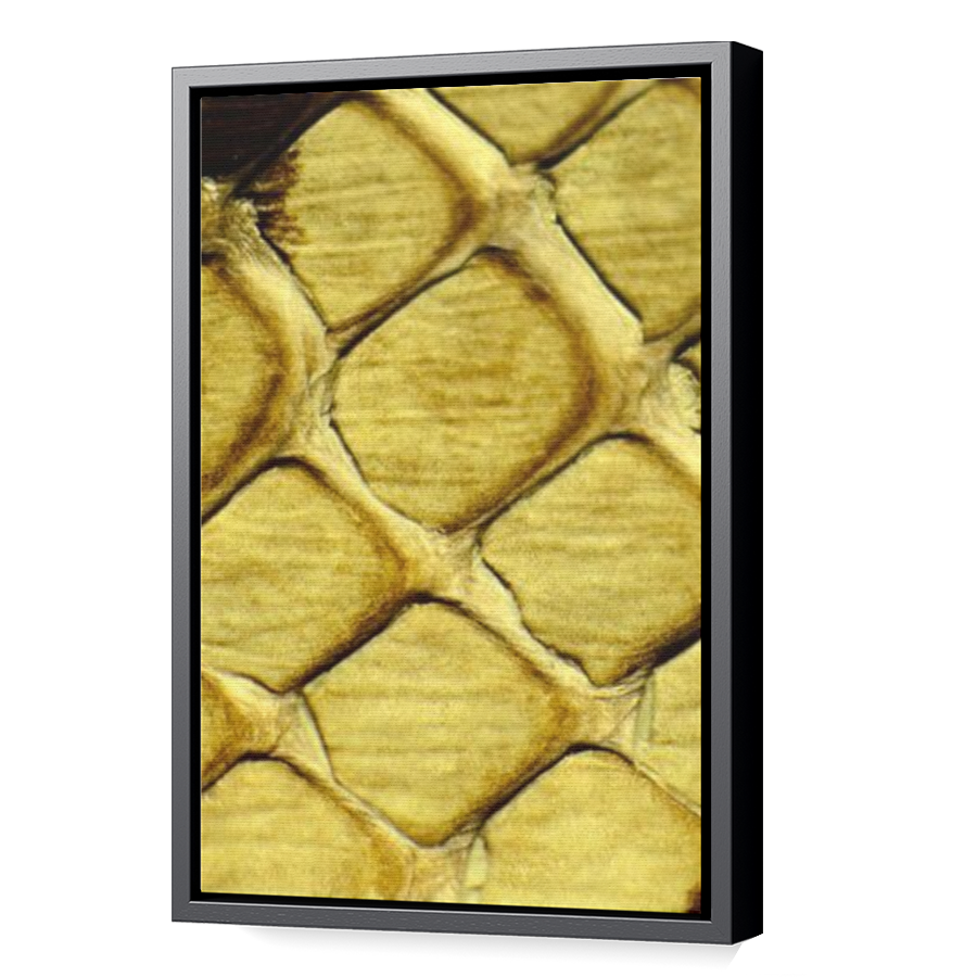 Thumbnail for Canvas - Black Floating Frame