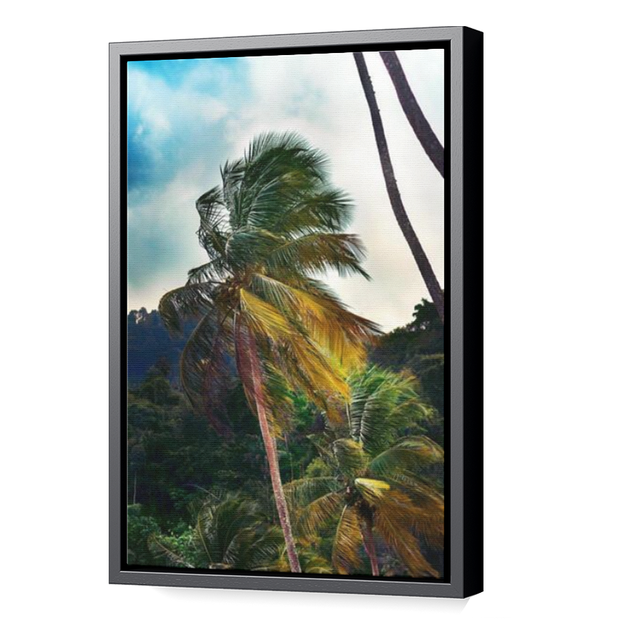 Thumbnail for Canvas - Black Floating Frame