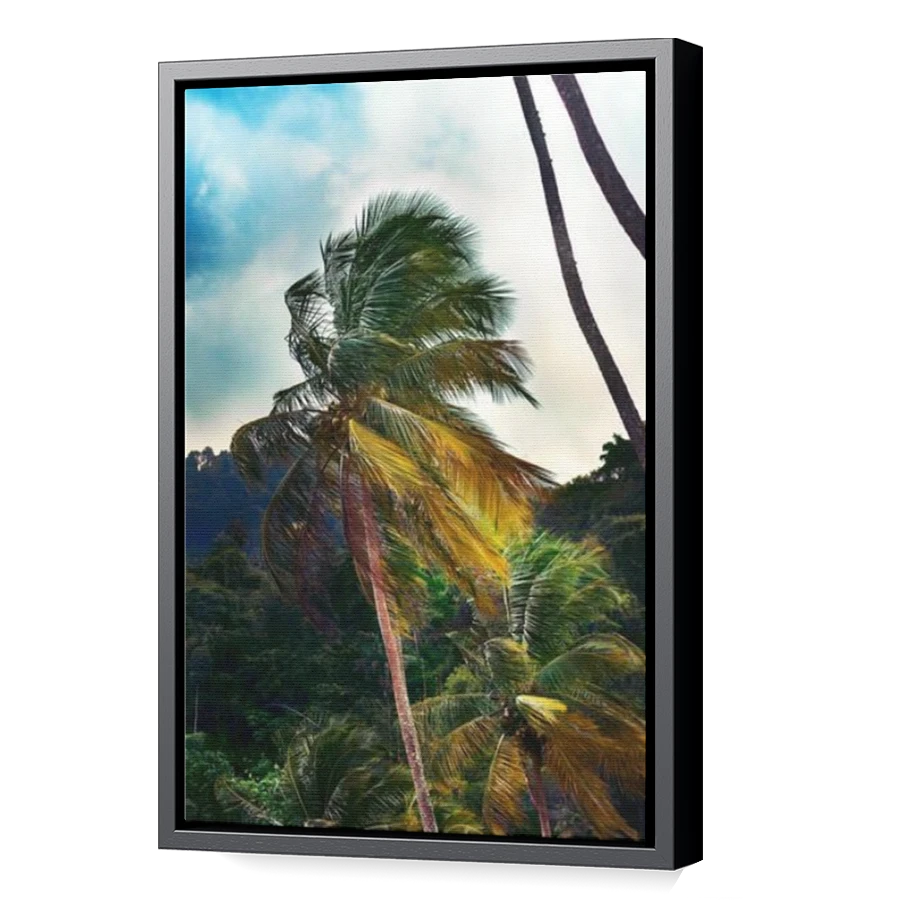Thumbnail for Canvas - Black Floating Frame