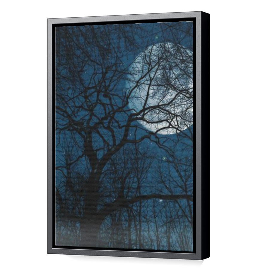 Thumbnail for Canvas - Black Floating Frame