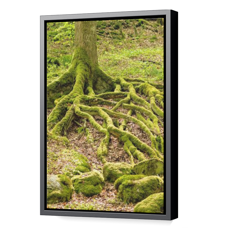 Thumbnail for Canvas - Black Floating Frame