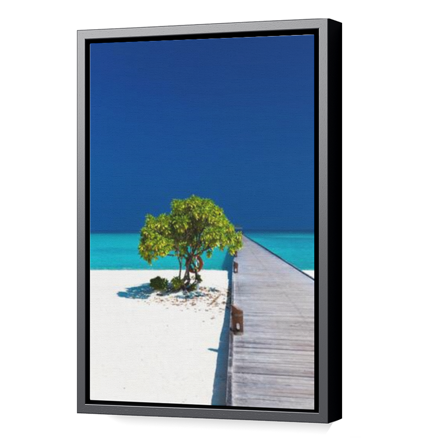 Thumbnail for Canvas - Black Floating Frame