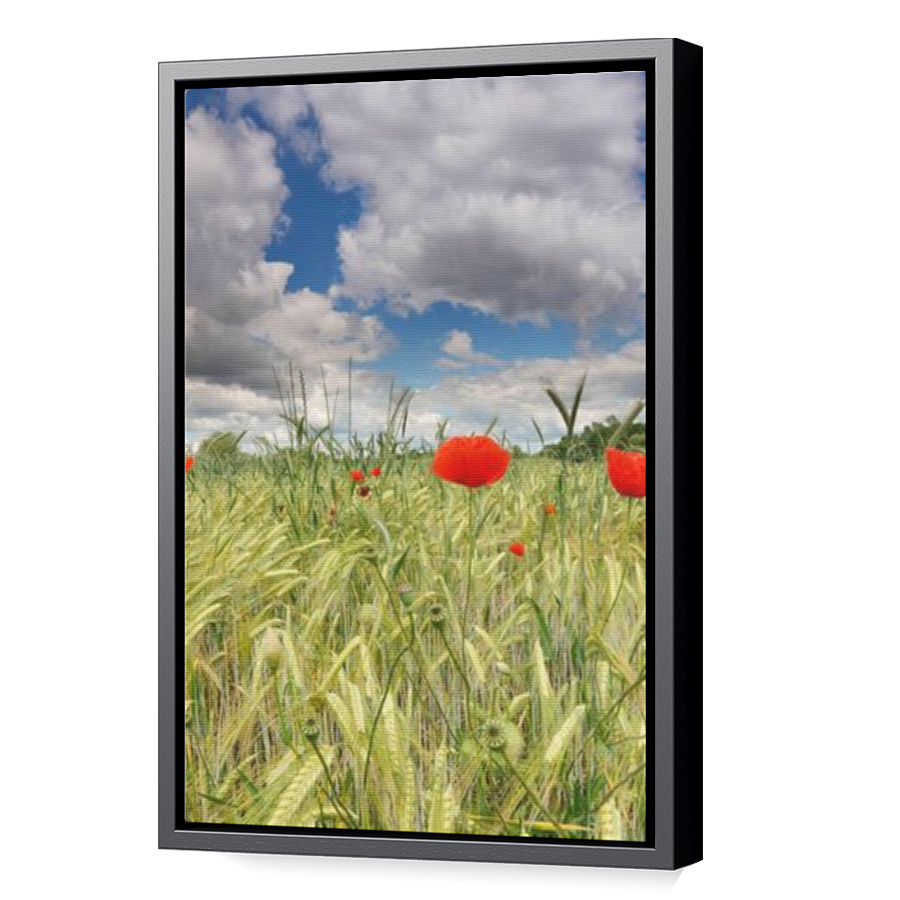 Thumbnail for Canvas - Black Floating Frame