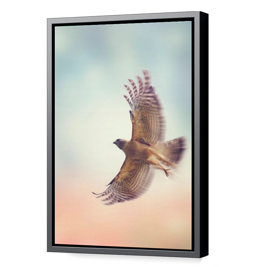 Thumbnail for Canvas - Black Floating Frame