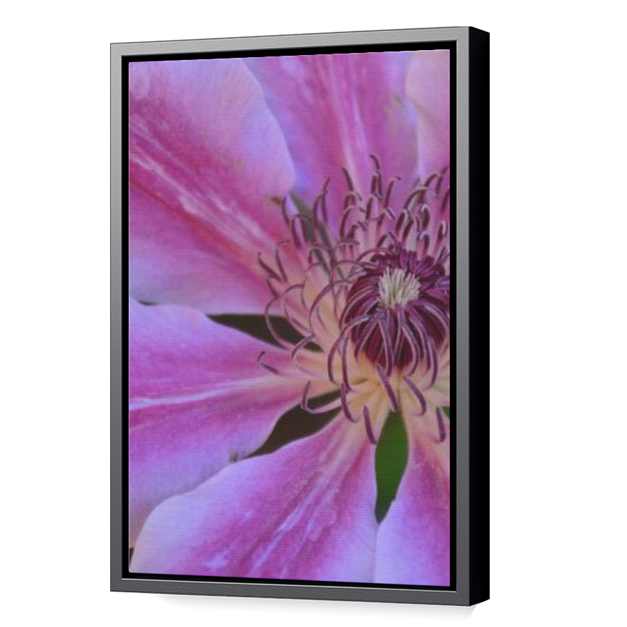 Thumbnail for Canvas - Black Floating Frame