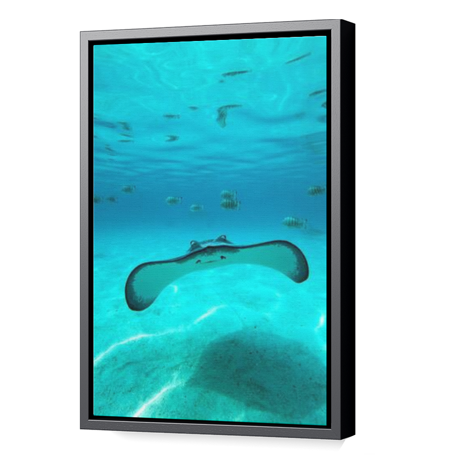 Thumbnail for Canvas - Black Floating Frame