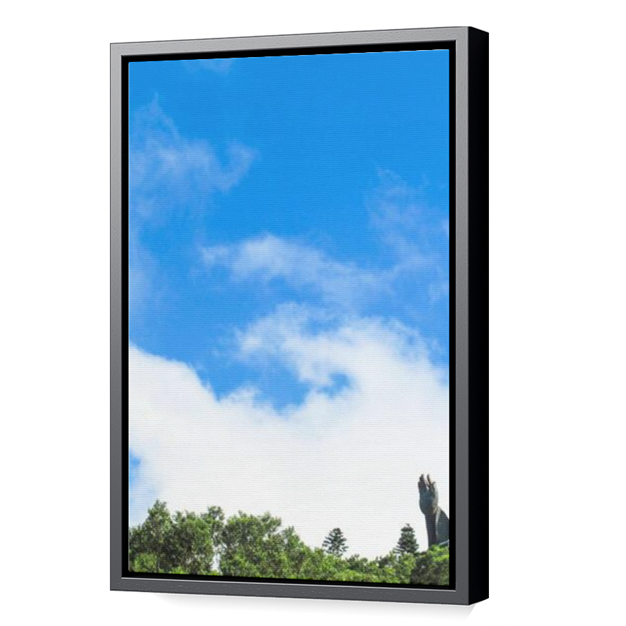 Thumbnail for Canvas - Black Floating Frame