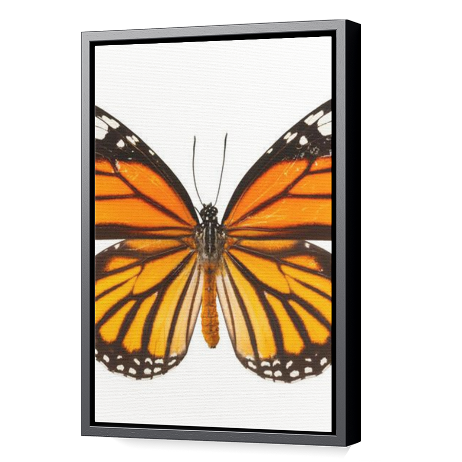 Thumbnail for Canvas - Black Floating Frame