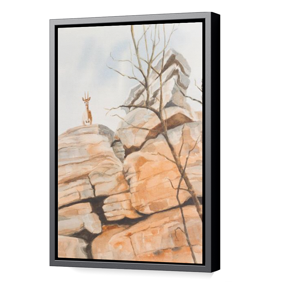 Thumbnail for Canvas - Black Floating Frame