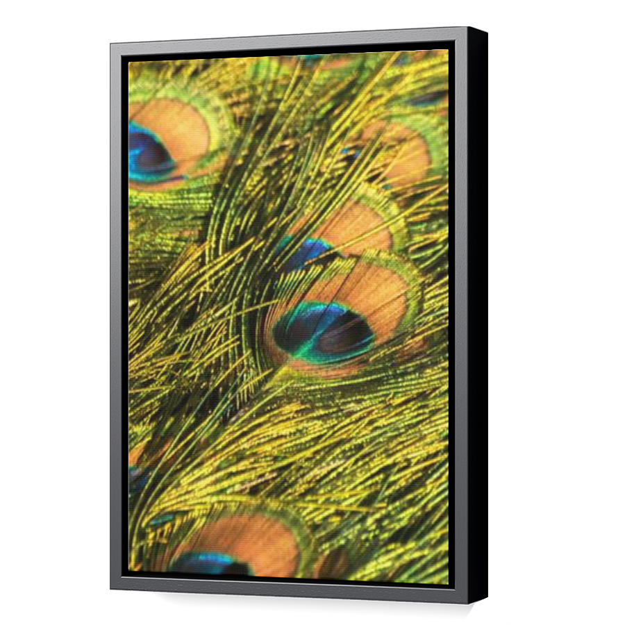 Thumbnail for Canvas - Black Floating Frame